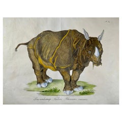 1816 Rhinoceros, Imp. Folio 42.5 Cm, 'Incunabula of Lithography', Hand Color