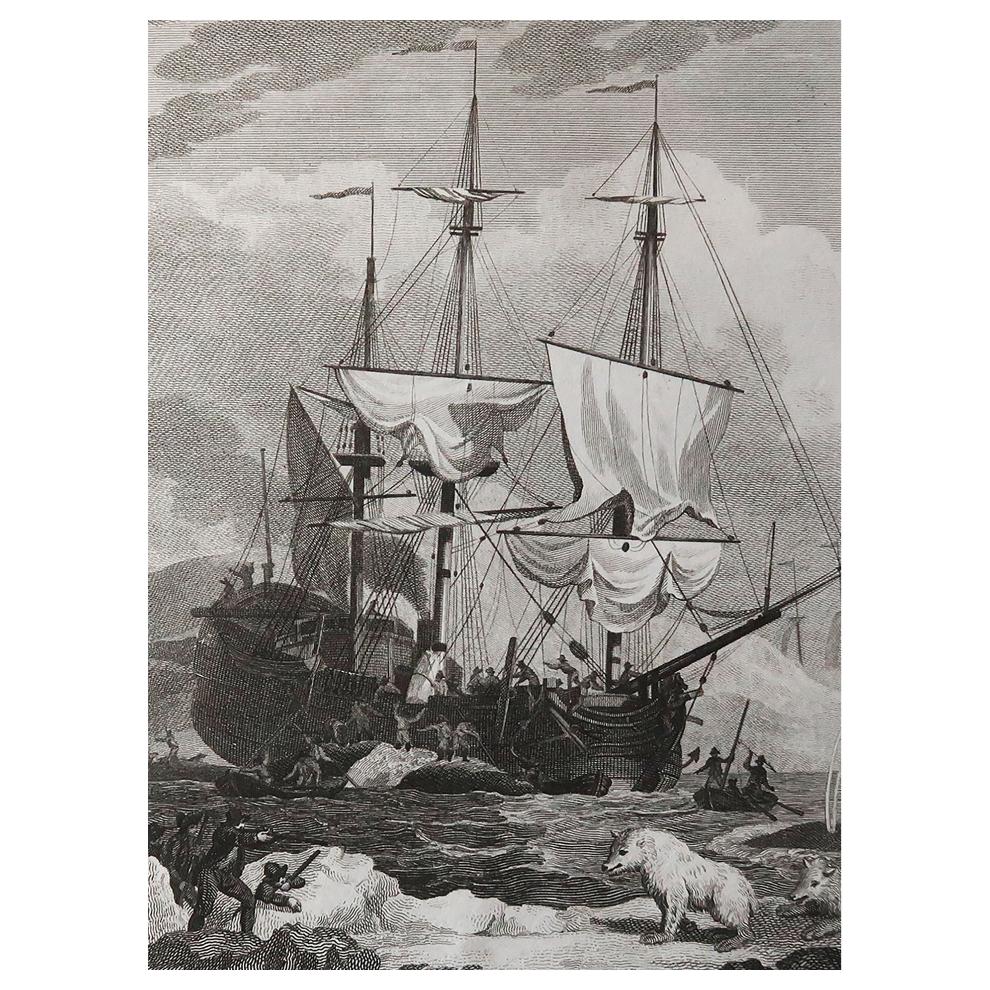 Original Antique Whaling Print, Circa 1800