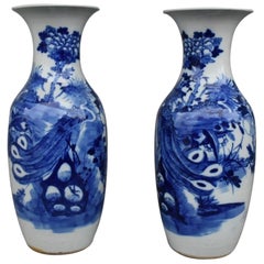 Pair of Blue White Vases from China