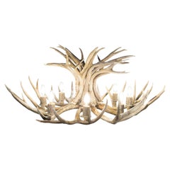 Mule Deer Antler Chandelier