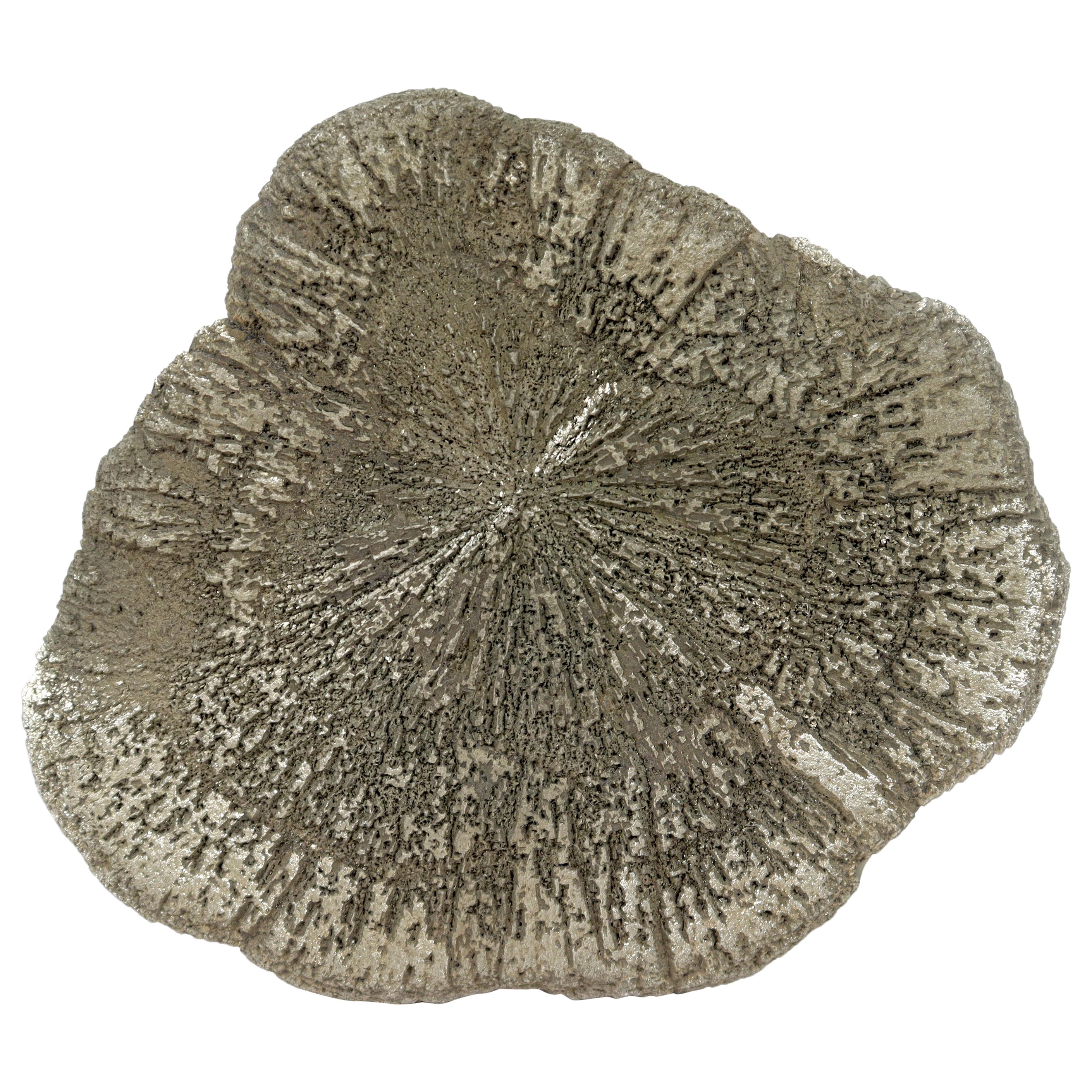 Flat Pyrite Crystal Specimen Paperweight For Sale