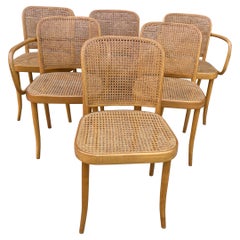 Josef Hoffmann for Stendig Dining Chairs