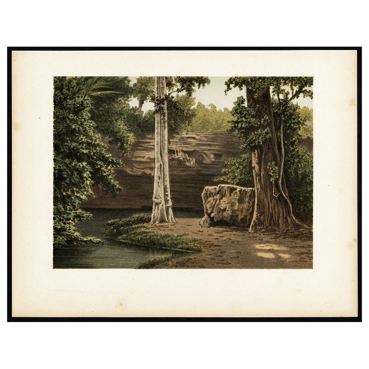 Impression ancienne de la forêt de Djati ou de la forêt du teck, Indonésie, 1888