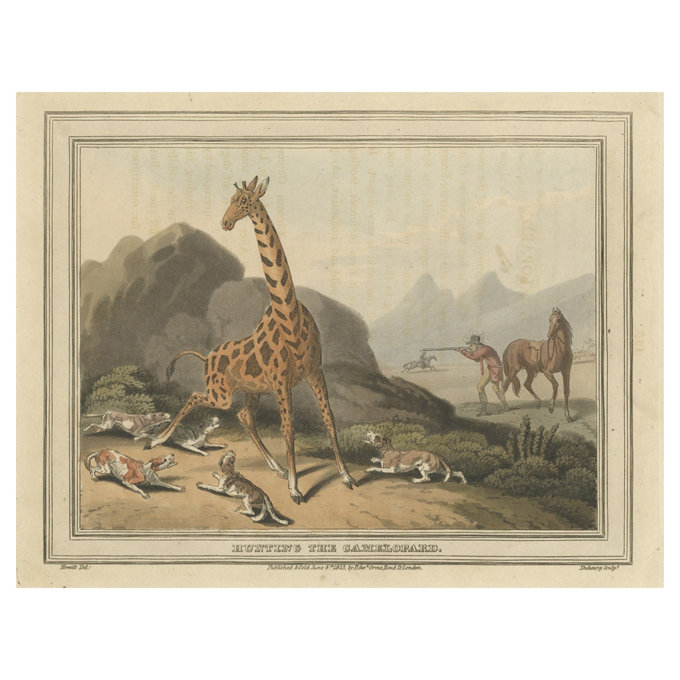 Antique Hand-Colored Print of Giraffe Hunting, 1813