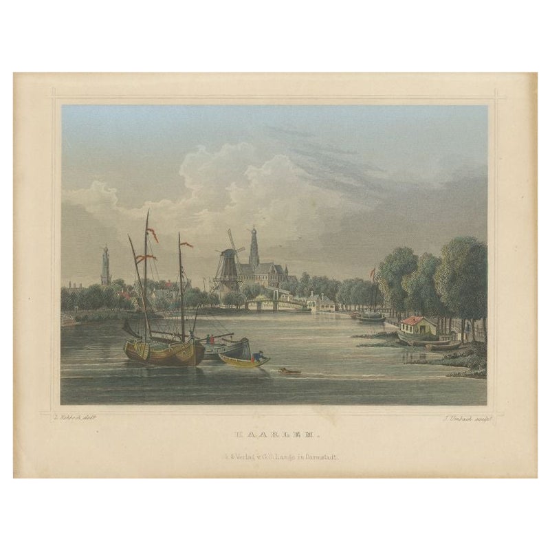 Antique Print of Haarlem, town in The Netherlands, 1863