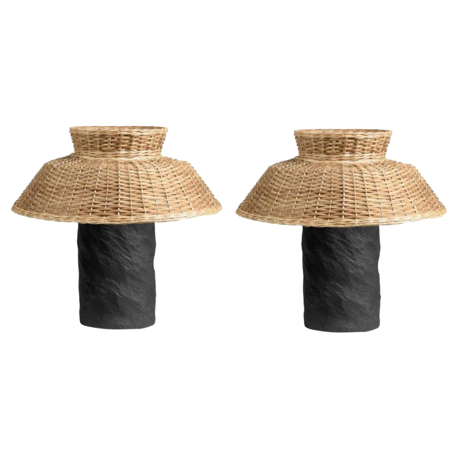 Set of 2 Willow Contemporary Table Lamps by Faina