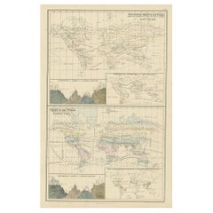 Antike Zoologische Weltkarte aus dem Jahr 1854