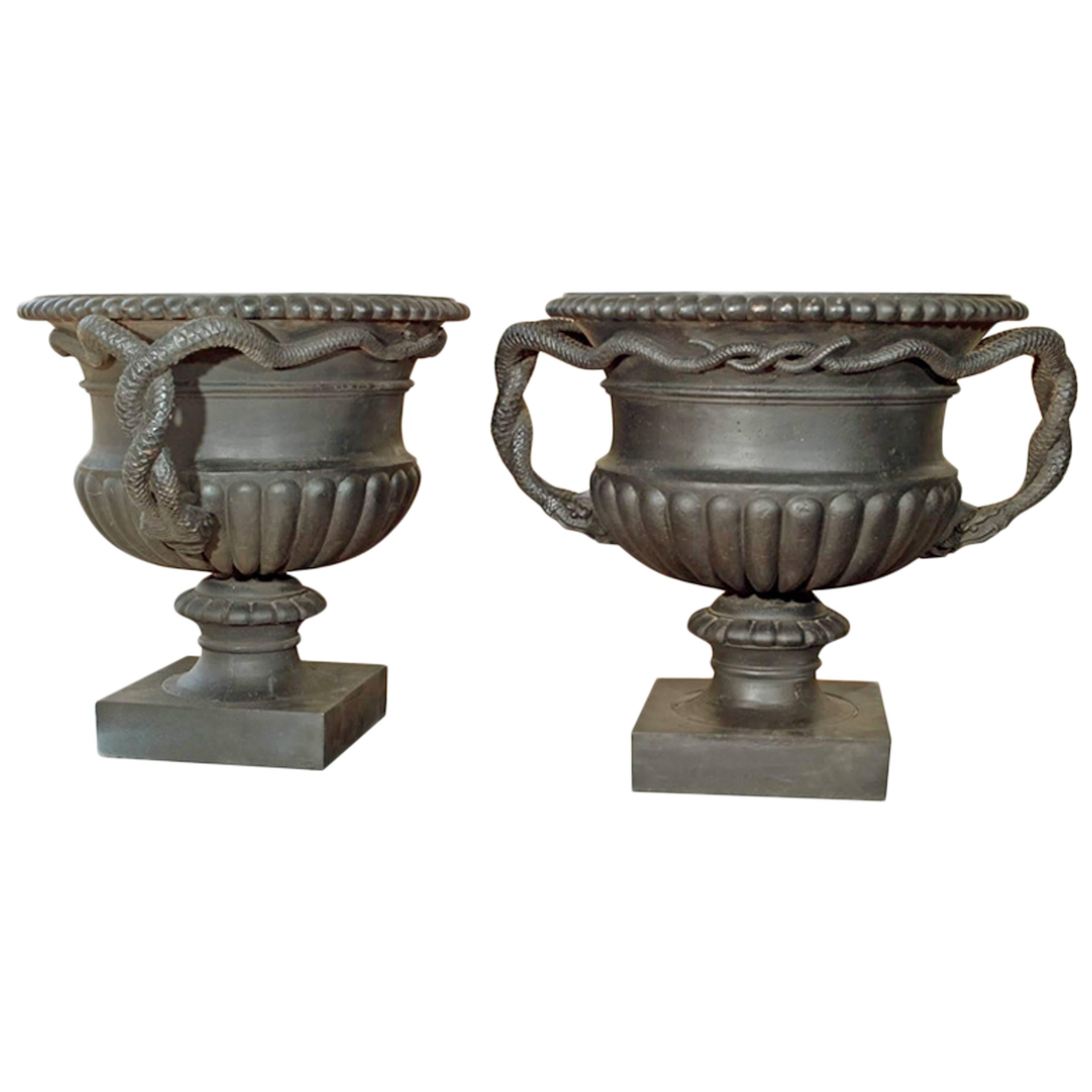 Pair of Rare Large French Cast Iron Urns with Entwined Serpent Handles