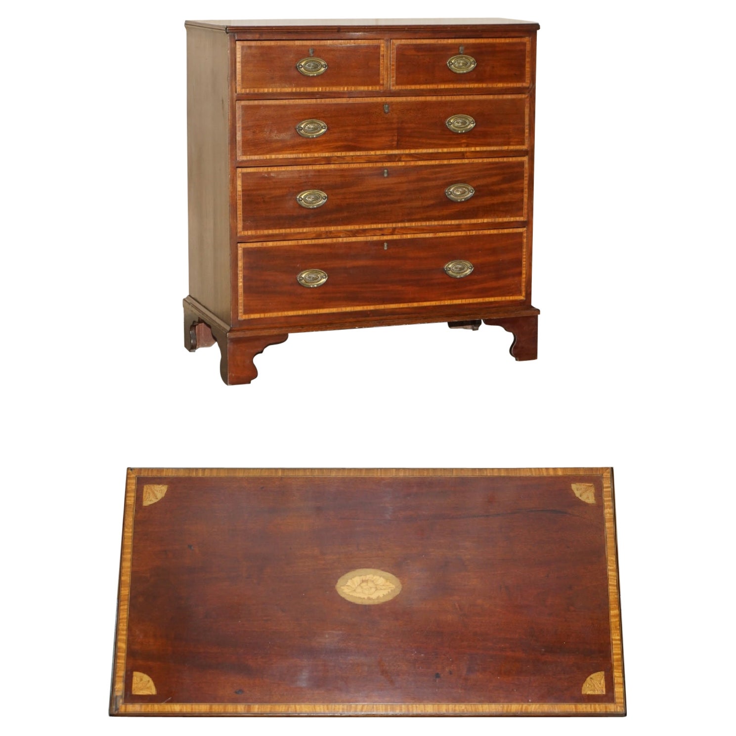Antique Sheraton Revival F.Thomas Halesowen Chest of Drawers Hardwood Satinwood For Sale