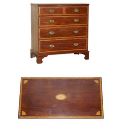 Used Sheraton Revival F.Thomas Halesowen Chest of Drawers Hardwood Satinwood