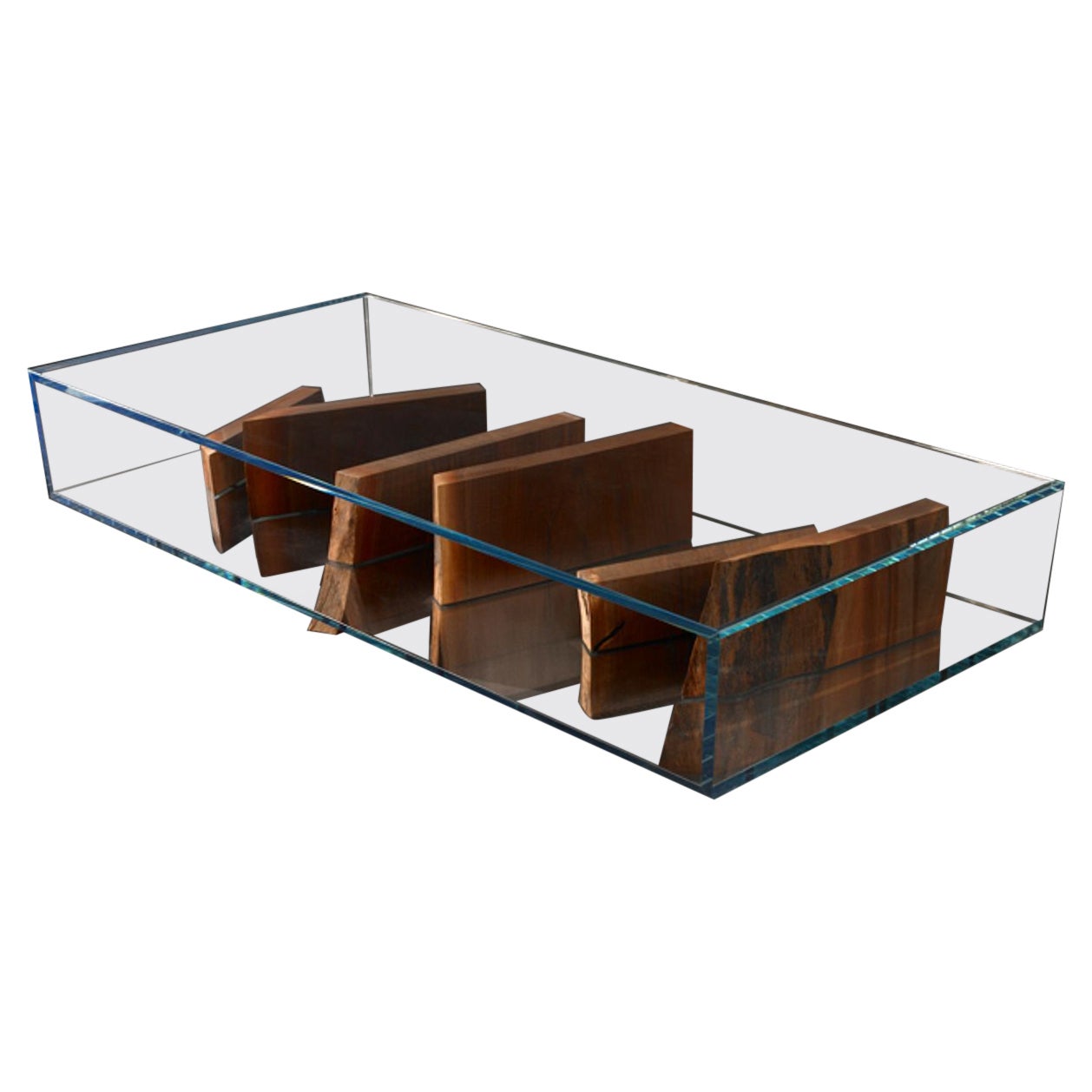 Modern Starfire Open Glass Box with Black Walnut Slab Pieces For Sale
