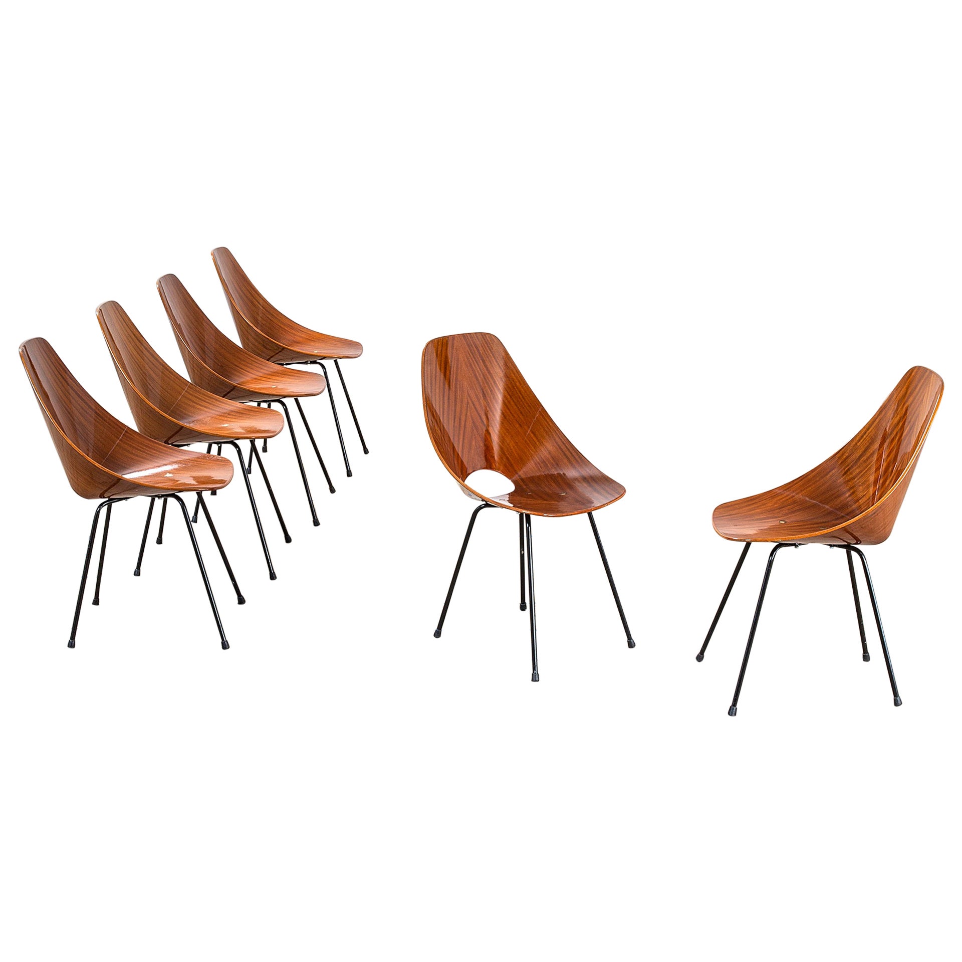 20th Century Medea Chair Set of 6 by Vittorio Nobili in Metal and Curved Wood