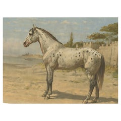 Antique Print of Turkish Horse by Eerelman, 1898