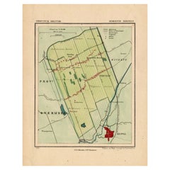 Carte ancienne de la ville de Nijeveen aux Pays-Bas, 1865