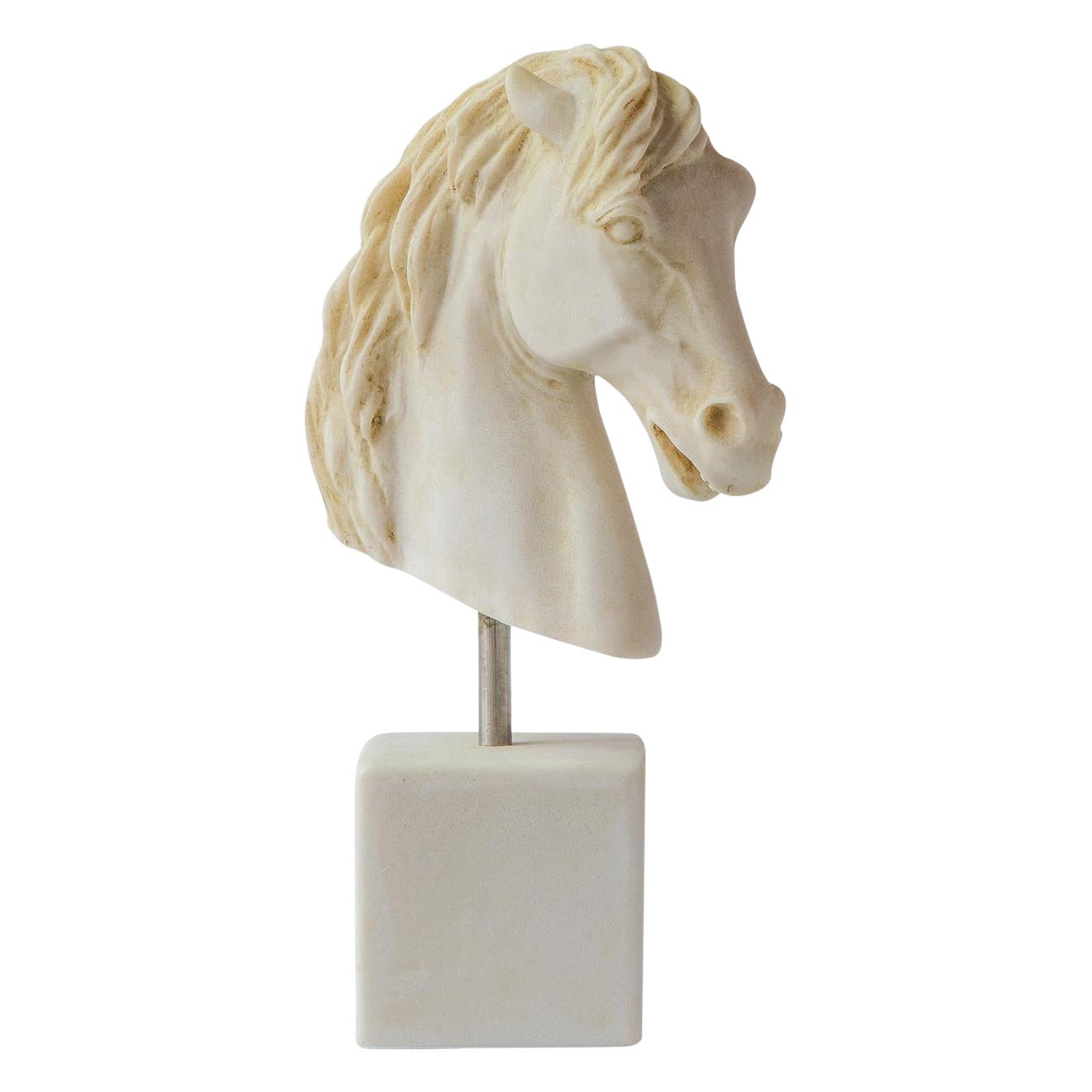 Small Horse Head Bust Made with Compressed Marble Powder