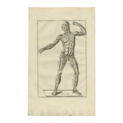 Antique Anatomy Print of the Respiratory System, 1798 For Sale at 1stDibs