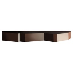 Console limited edition signed by Raoul Gilioli. metal and wood