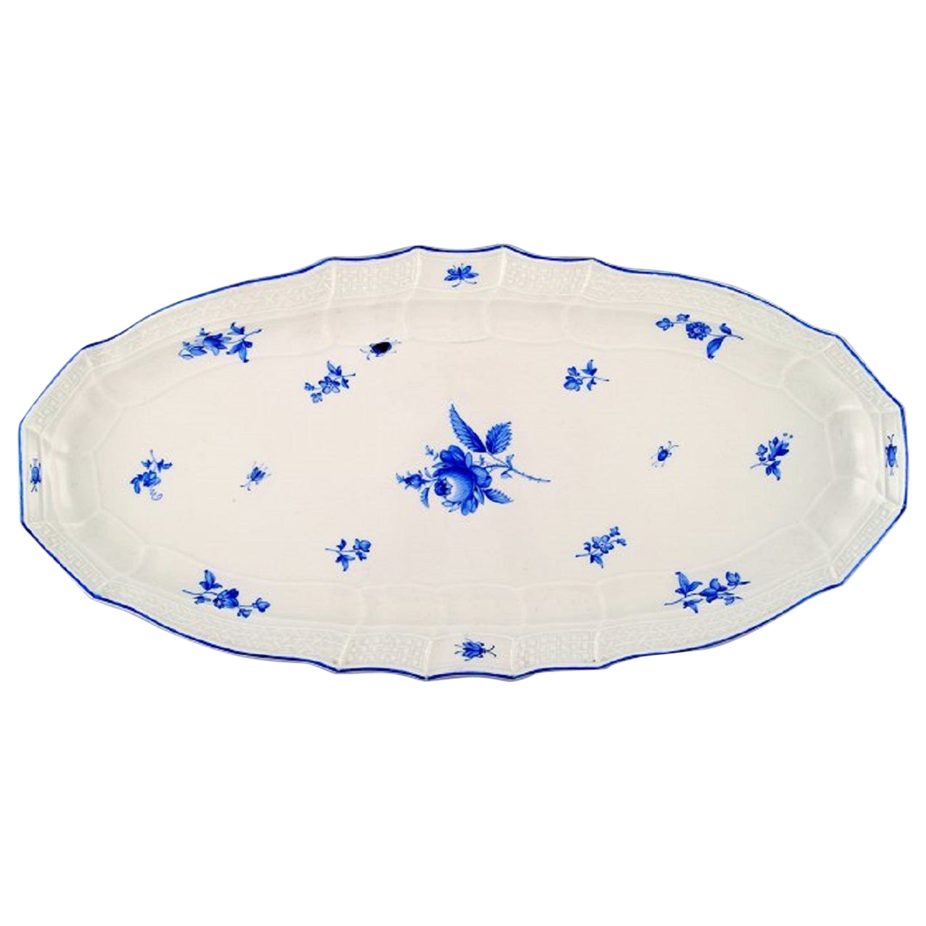 Meissen Large Fish Dish in Porcelain, Hand Painted with Blue Roses and Beetles