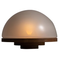Model 3/3 Selenova Table Lamp by Luigi Massoni