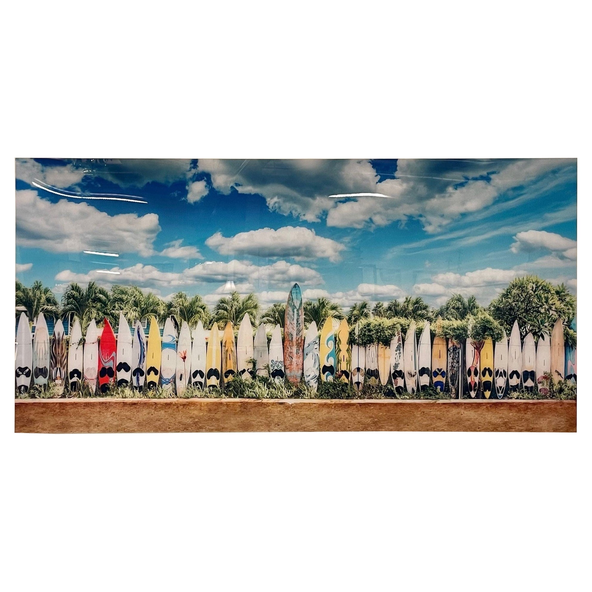 Modern Plexiglass Paddle Board Photo, Tropical Art, Decorative Art, Contemporary