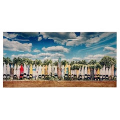 Modern Plexiglass Paddle Board Photo, Tropical Art, Decorative Art, Contemporary