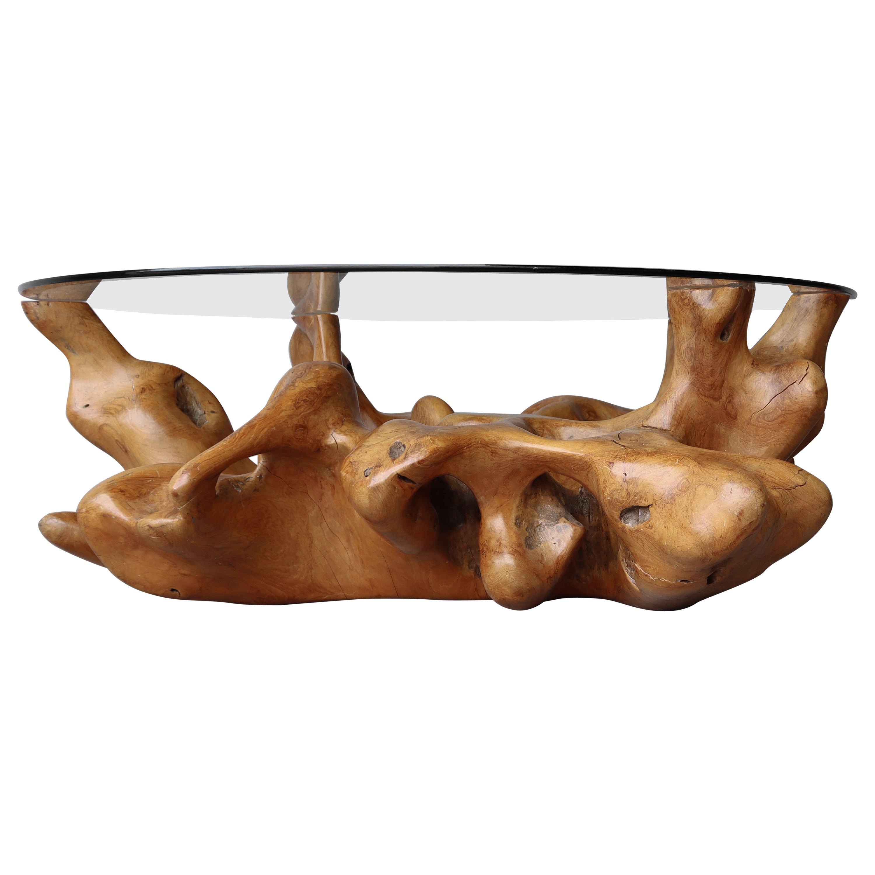Organic Free Form Polished Burl Root Coffee Table Base For Sale