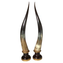 Elegant Pair of Steer Horns on Wood Plinth Bases, Italy Mid-20th Century