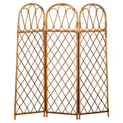 Retro Mid-Century Modern Rattan French Riviera Room Screen Paravent Divider, France