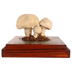 Modèle champignon, Allemagne, 1950