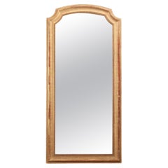 Antique French 19th Century Giltwood Mirror