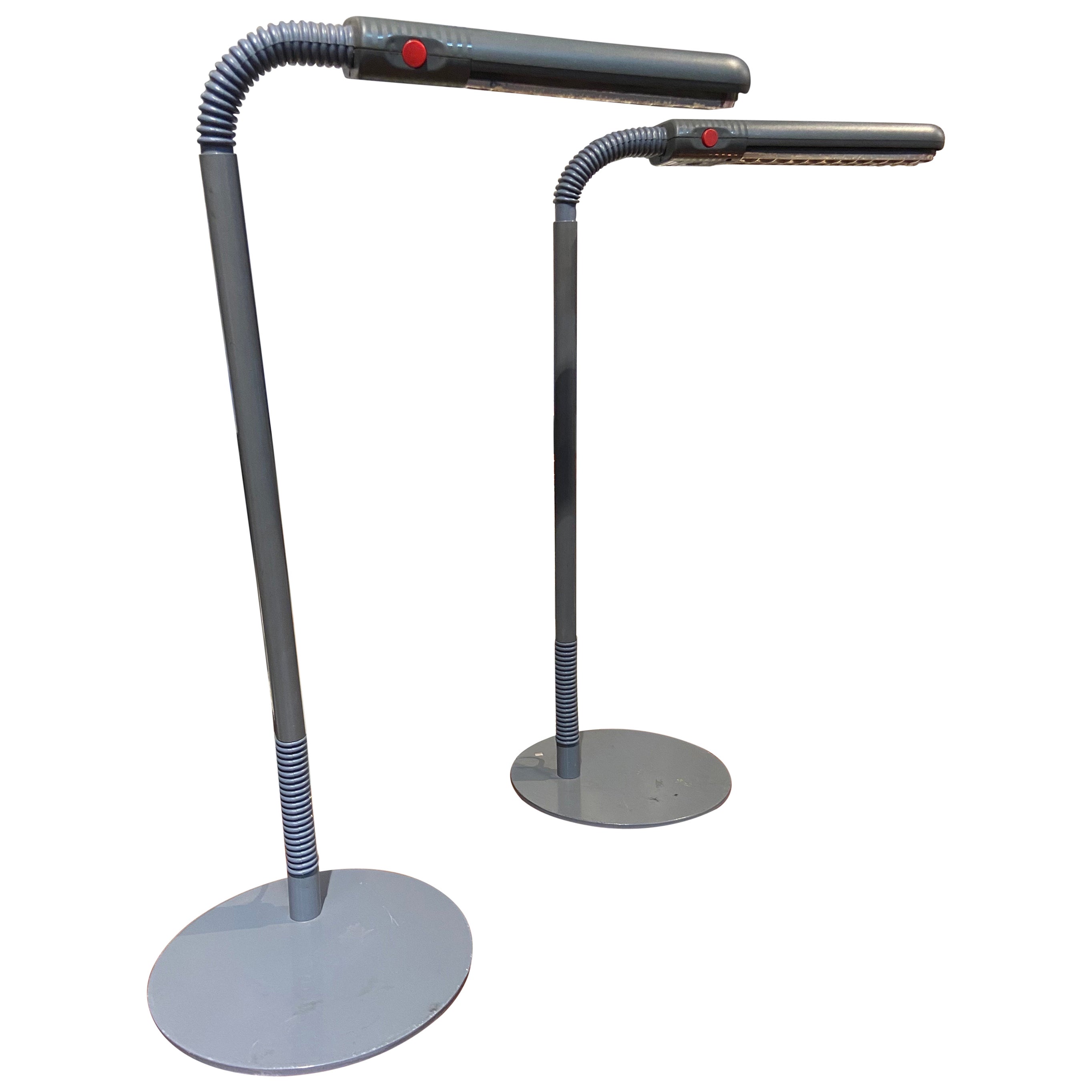 French Grey Metal Desk Cobra Flexible Lamp by Michel Philippe for Manade For Sale