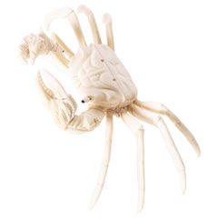 Vintage Carved Bone Crab