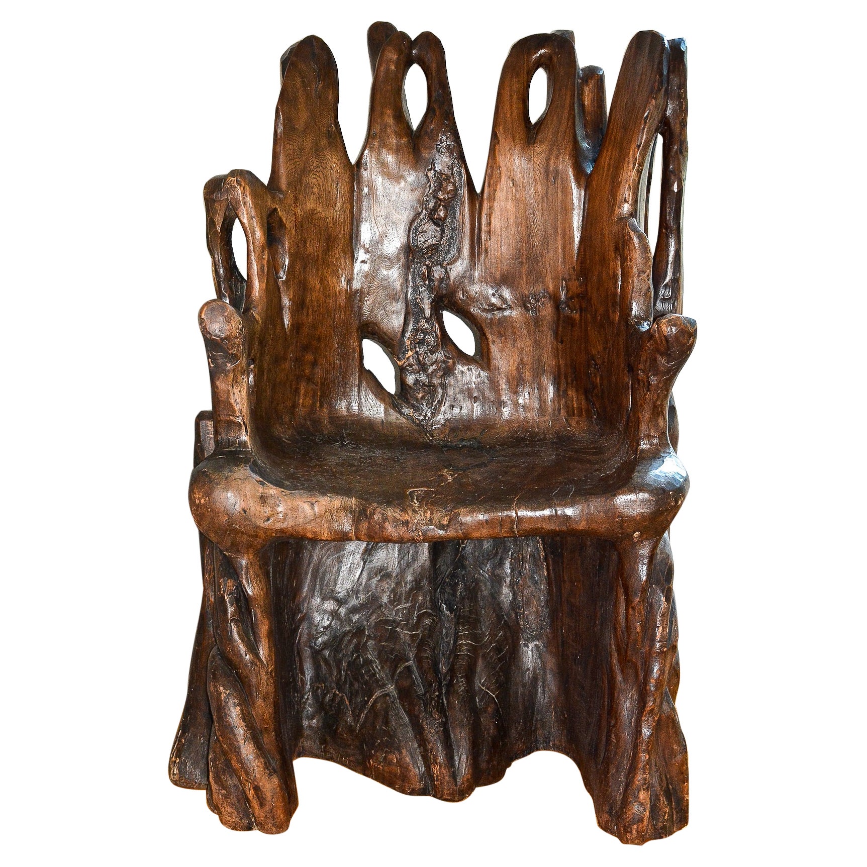 Late 19th Century Northern Mexico Banyan Tree Root Chair