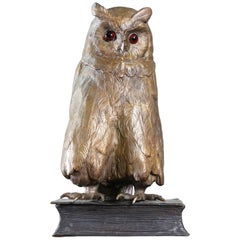 Cold Painted Viennese Bronze Owl by Franz Bergmann