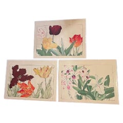 Vintage Japanese Old Woodblock Flower Prints Tanigami Konan Immediately Frameable