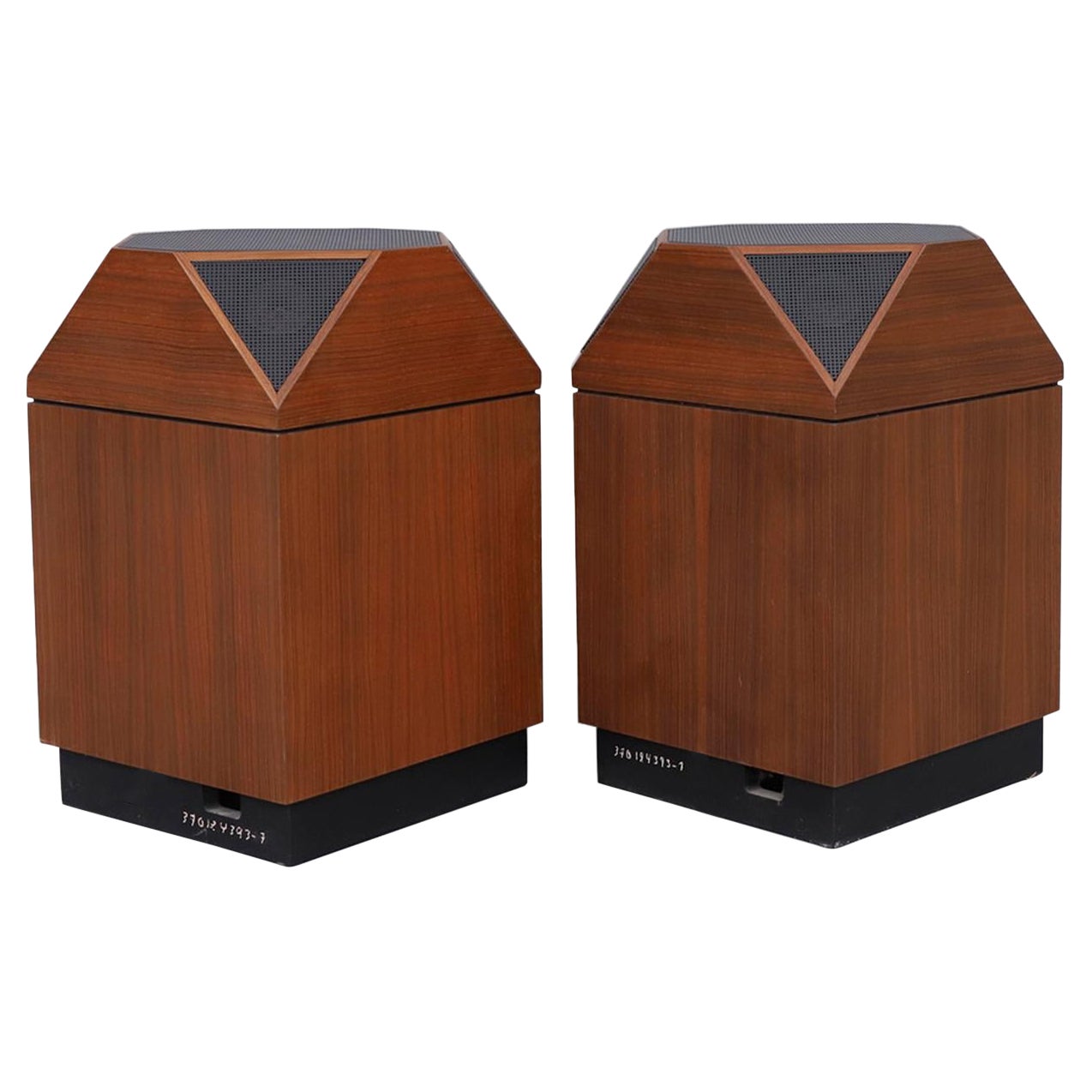 Pair of Model 6361 Teak Speakers by Luxor Brilliant For Sale