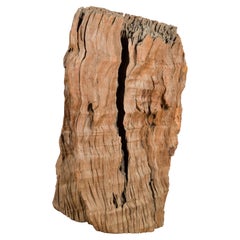 Antiguo macetero folclórico de teca del norte de Tailandia hecho con un tronco de árbol hueco