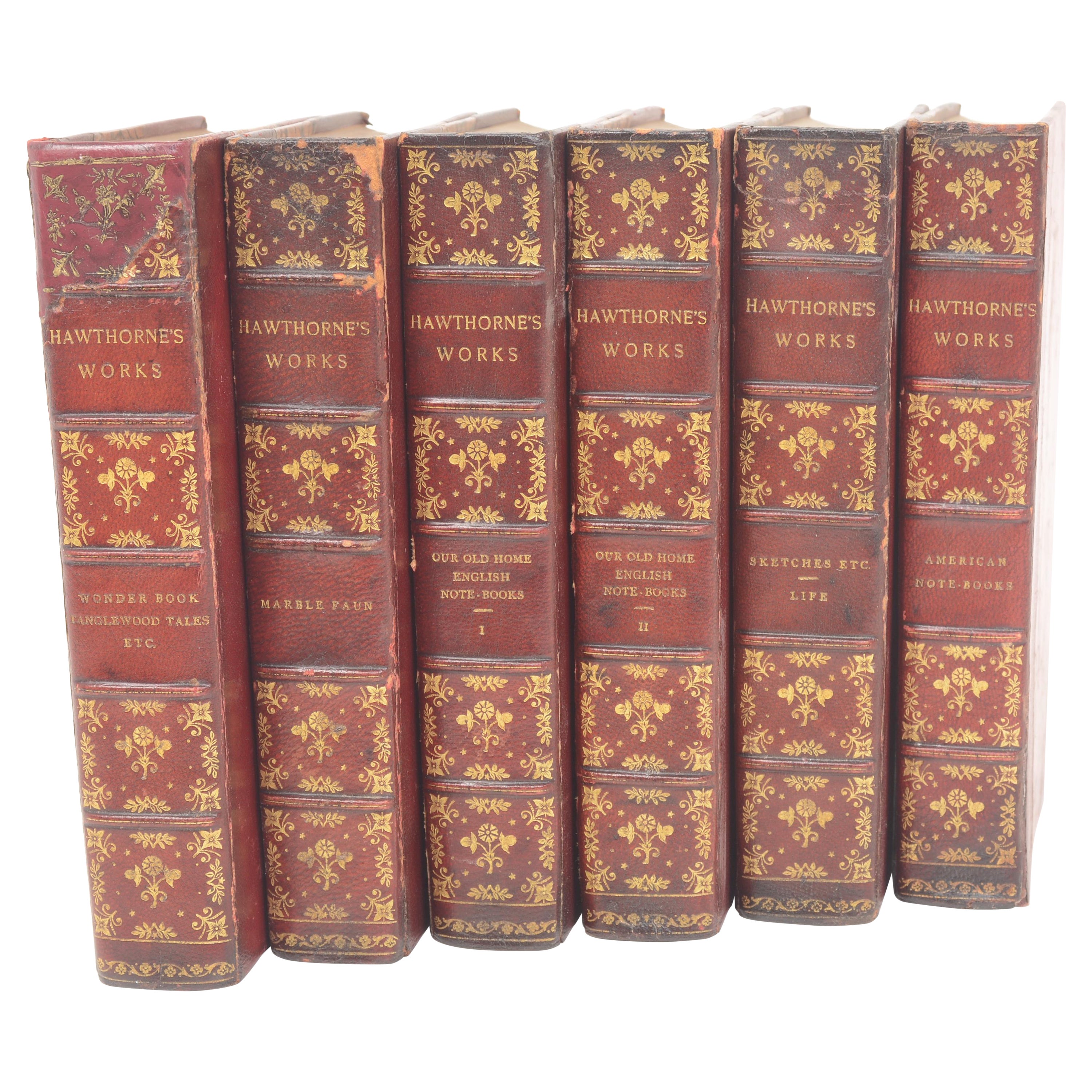 The Complete Works of Nathaniel Hawthorne '6 of 13 Volumes An Incomplete Set' For Sale