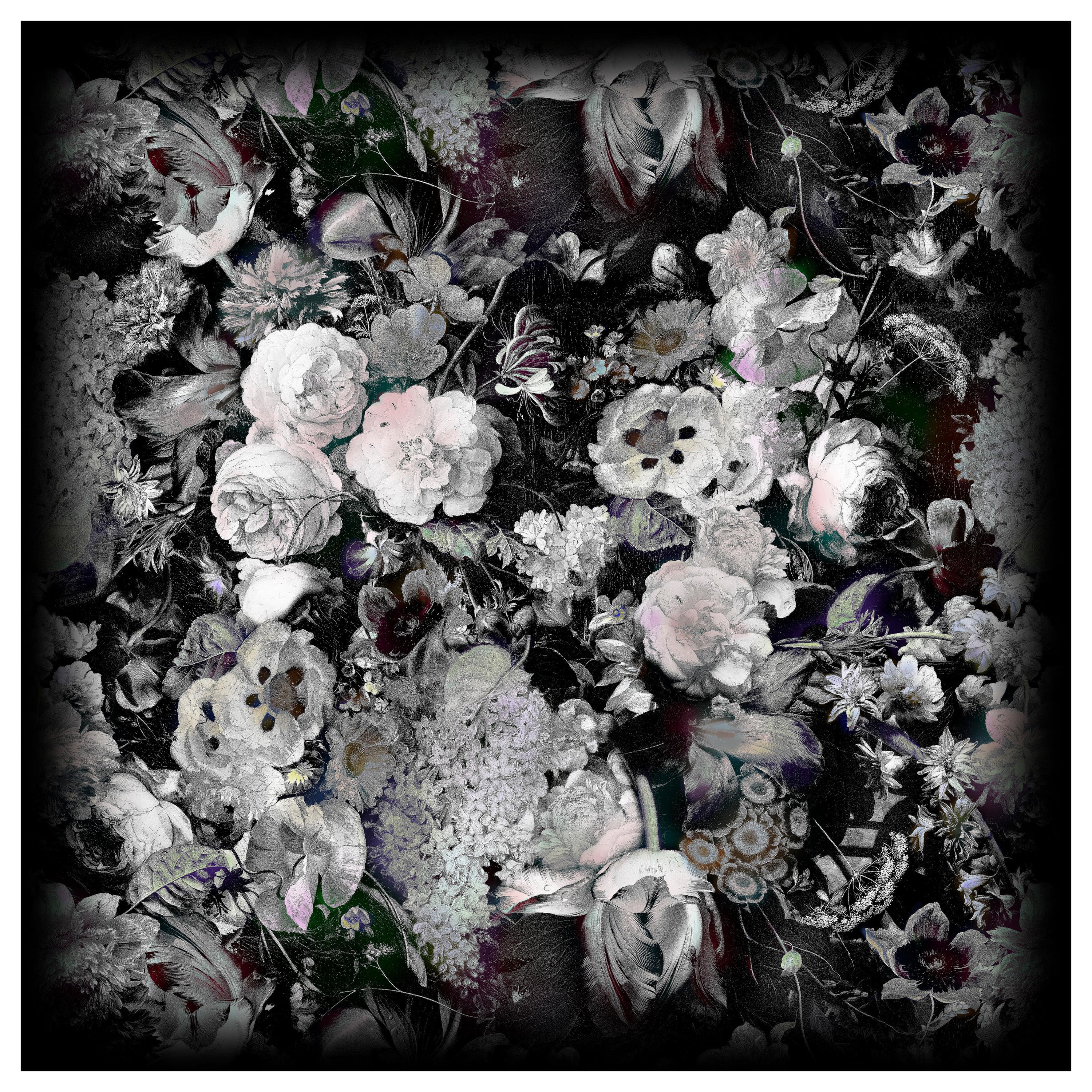 Tappeto Moooi Large Eden Queen B&W Square in lana di Marcel Wanders Studio A. B.