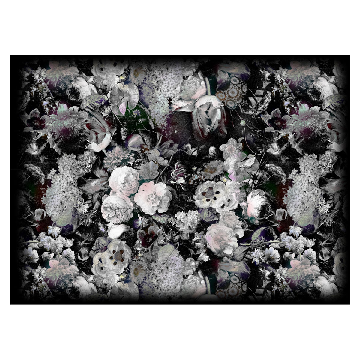 Moooi Large Eden Queen B&W Rectangular Rug in Low Pile Polyamide For Sale