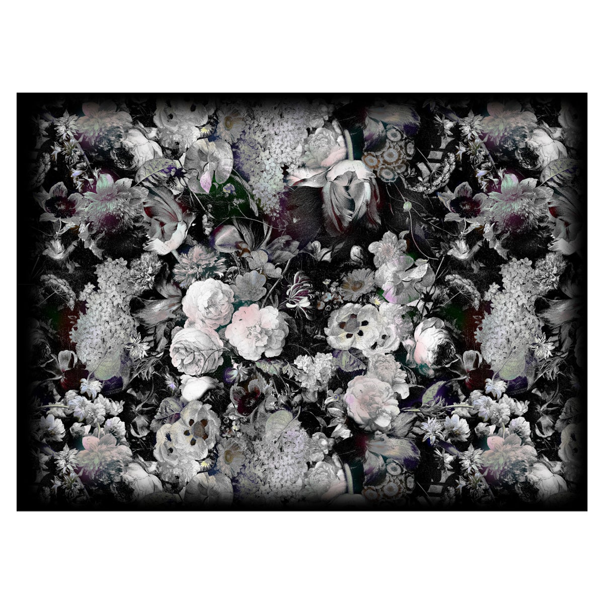 Moooi Alfombra rectangular grande Eden Queen blanco y negro de poliamida de pelo fino