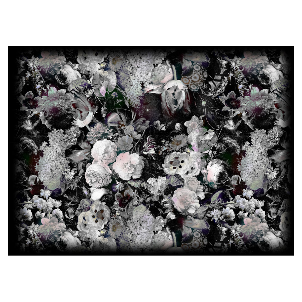 Moooi Large Eden Queen B&W Rectangular Rug in Low Pile Polyamide