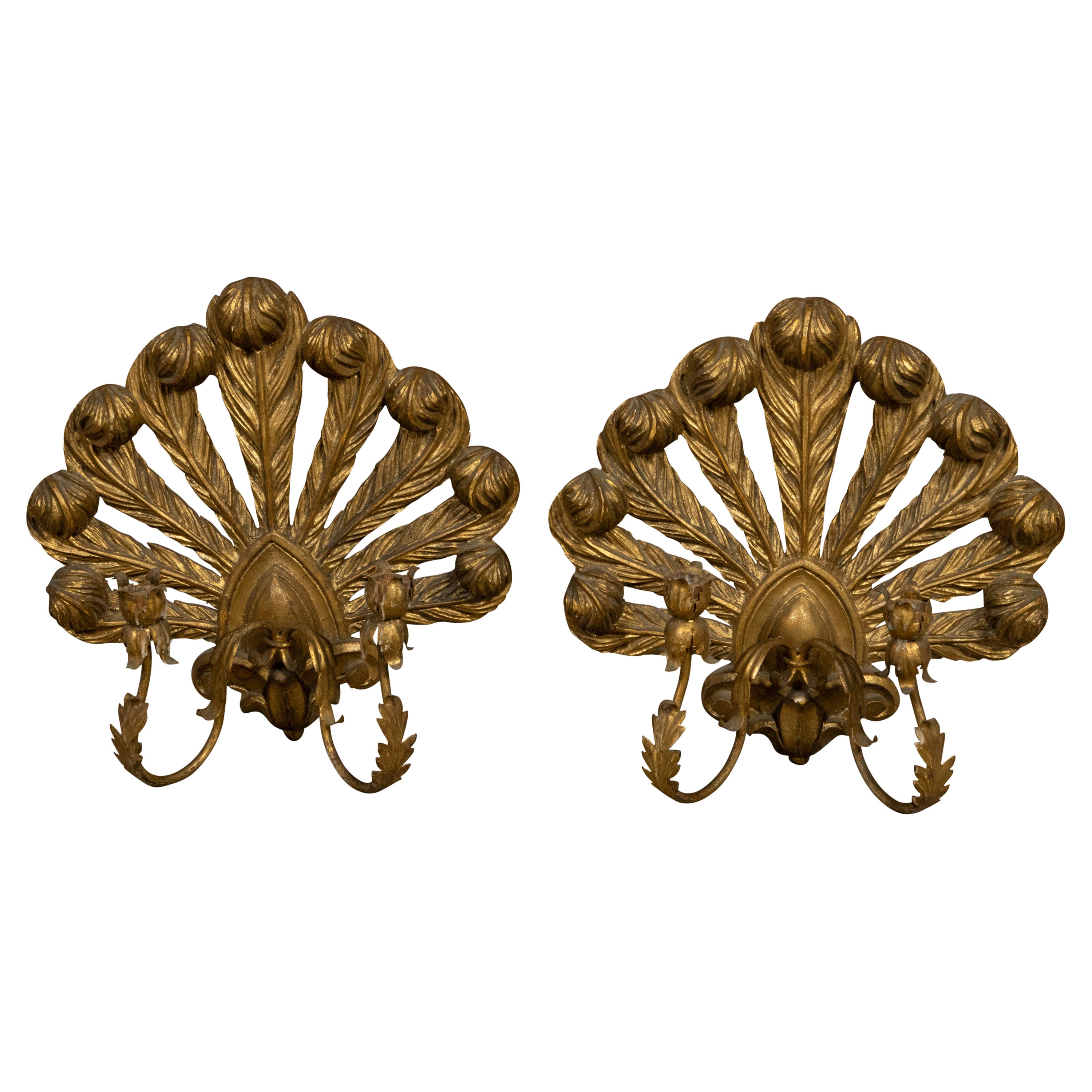 Pair of Italian Midcentury Giltwood Candle Sconces with Carved Feathers For Sale