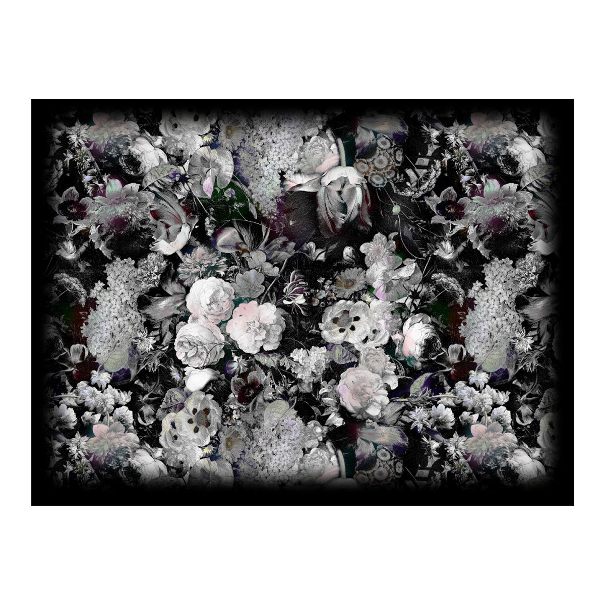 Grand tapis rectangulaire Moooi Eden Queen B&W en laine par Marcel Wanders Studio