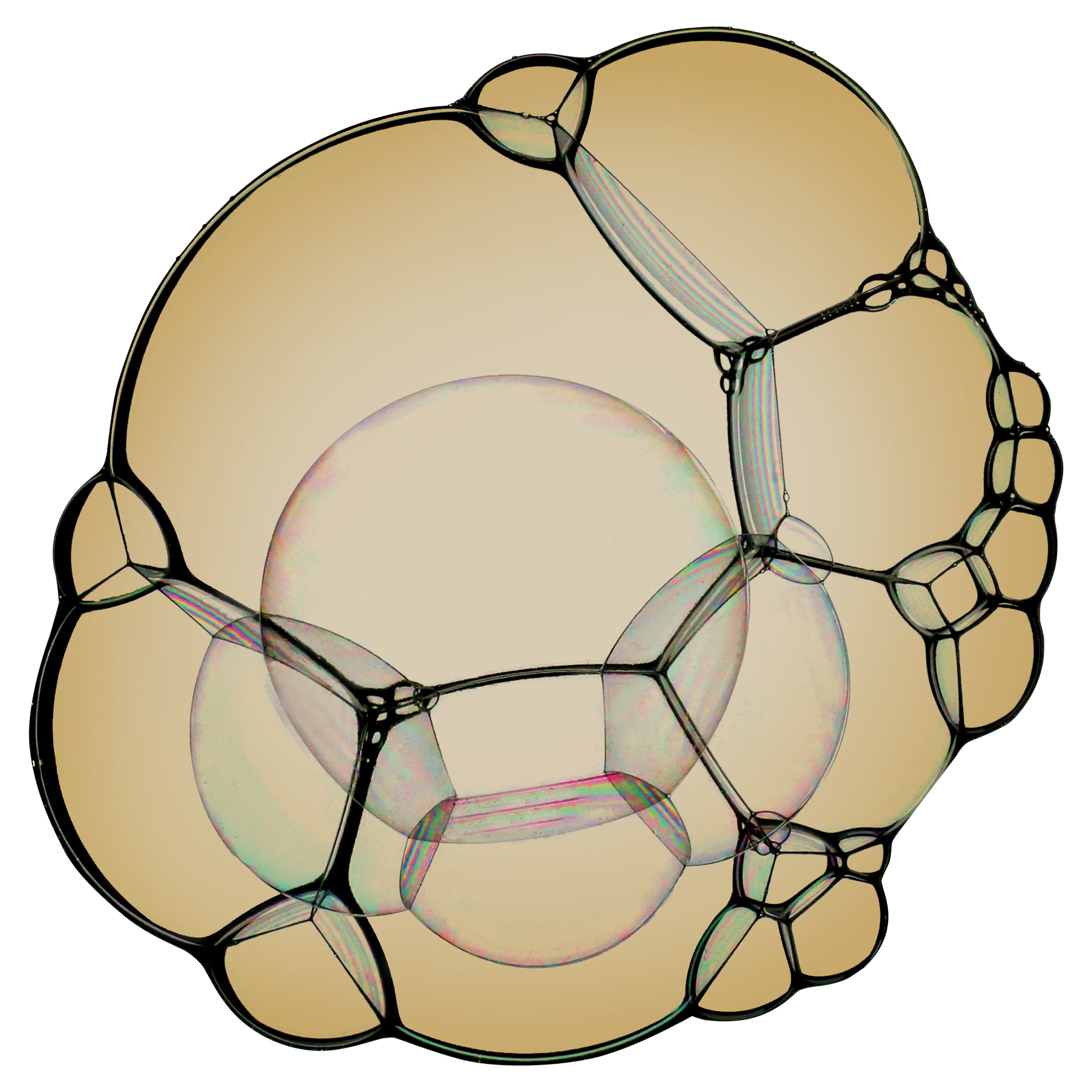 Tappeto Moooi Large Bubble Yellow in morbido filato di poliammide di Sjoerd Vroonland