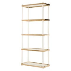 1970s Lucite and Polished Brass Etagere