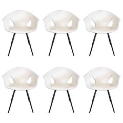 Set of Six Chairs Model 'Ginger Ale' by Designer R. Lazzeroni for Poltrona Frau
