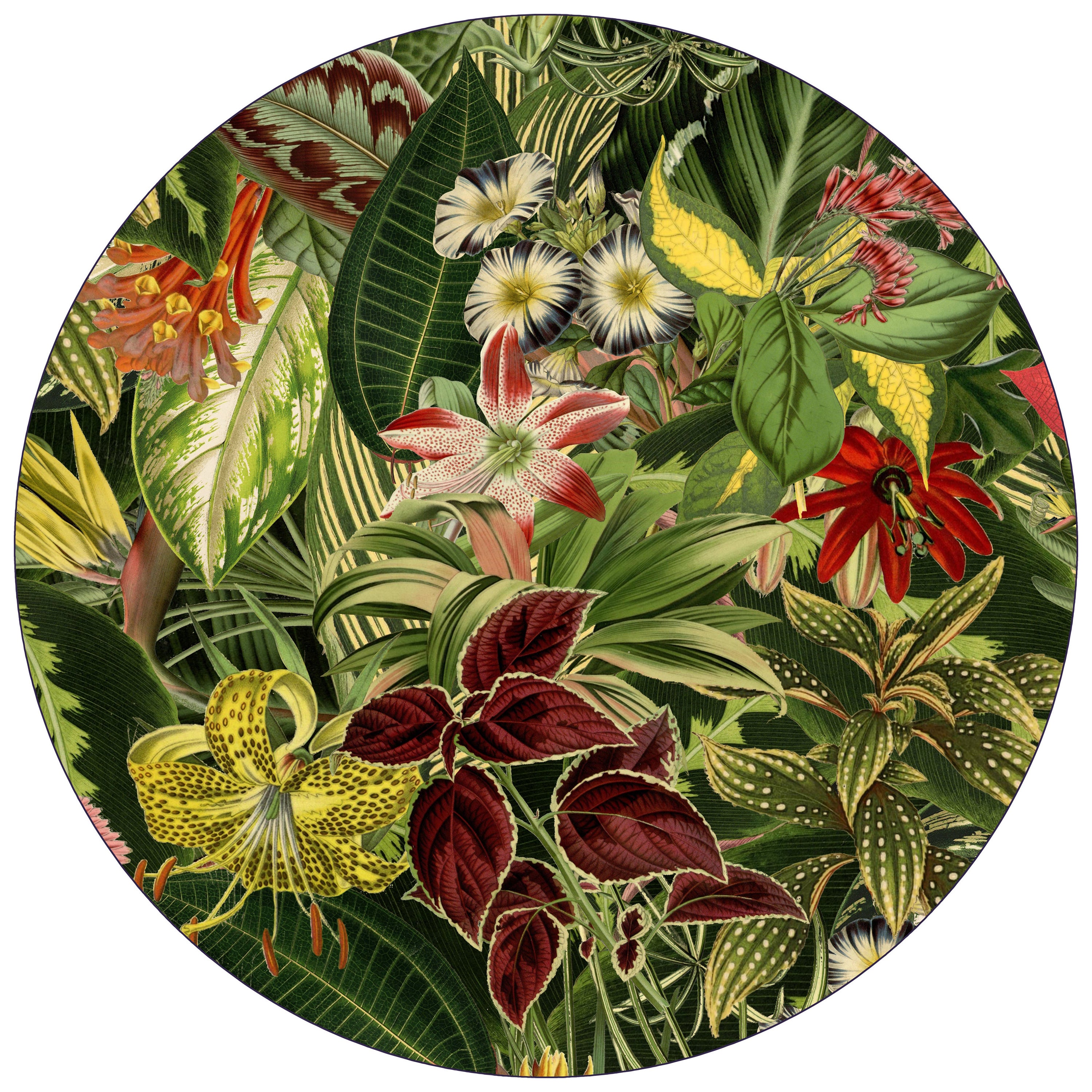Moooi Large Extinct Plants Round Rug in Low Pile Polyamide For Sale