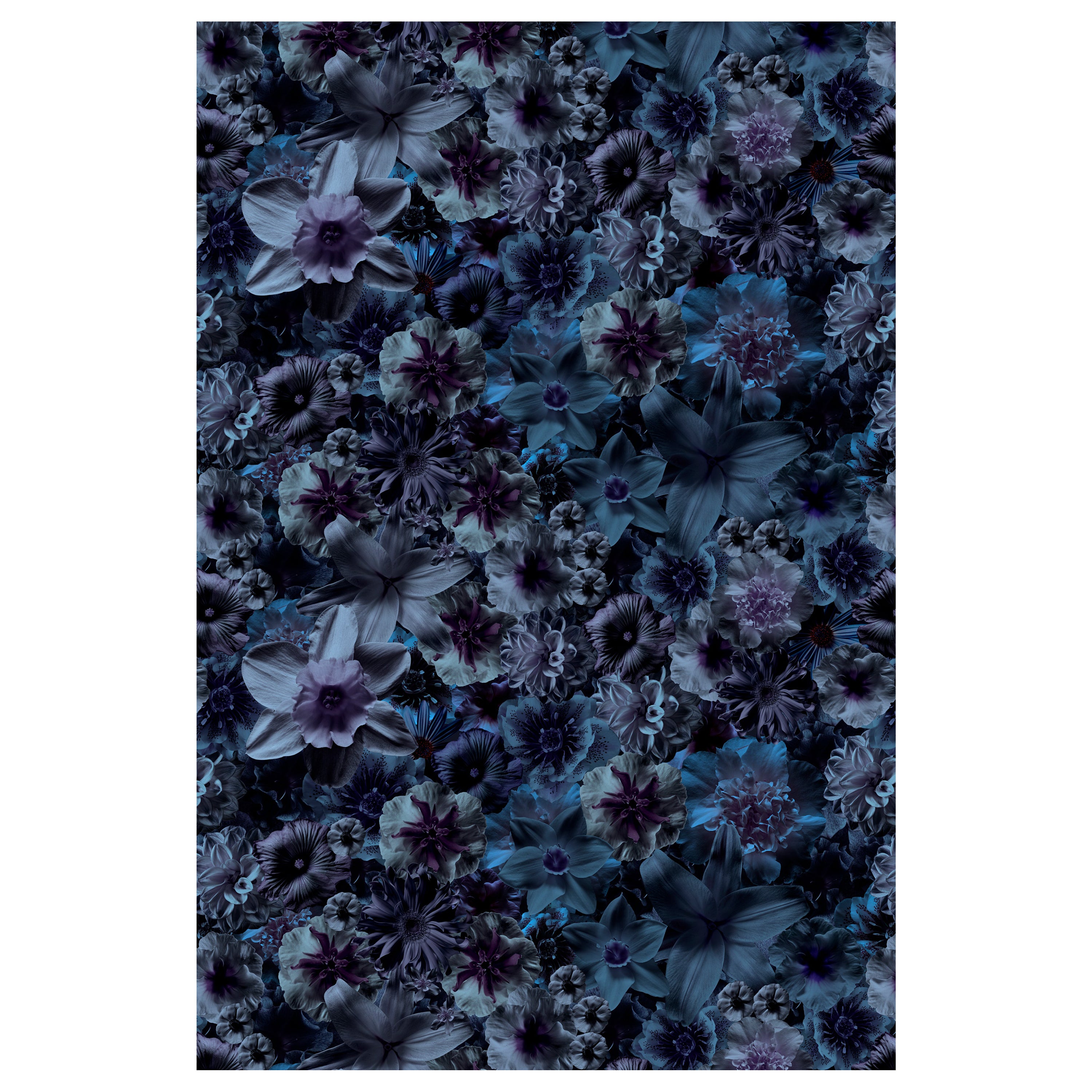 Moooi Small Flowergarden Night Rectangle Rug in Low Pile Polyamide For Sale