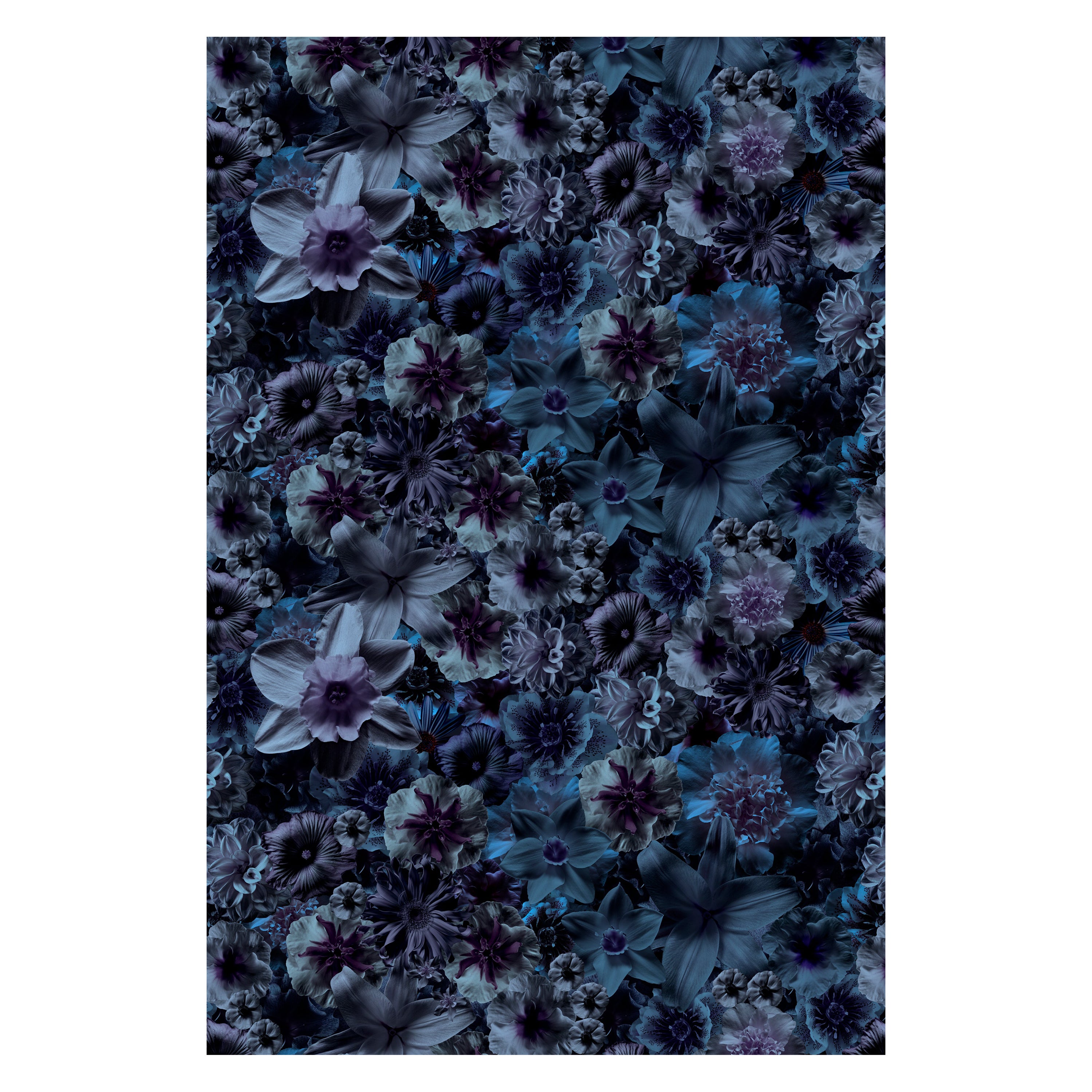 Moooi Small Flowergarden Night Rectangle Rug in Wool with Blind Hem Finish For Sale